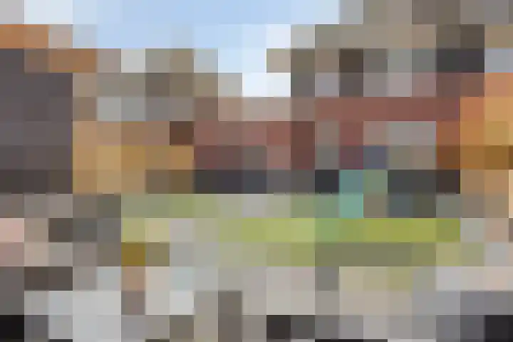 Kuifeend 51 Bedum thumbnail 4