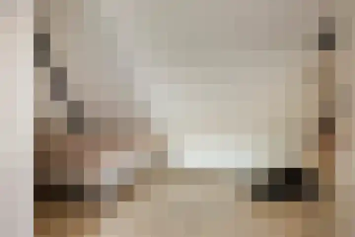 Kuifeend 51 Bedum thumbnail 41
