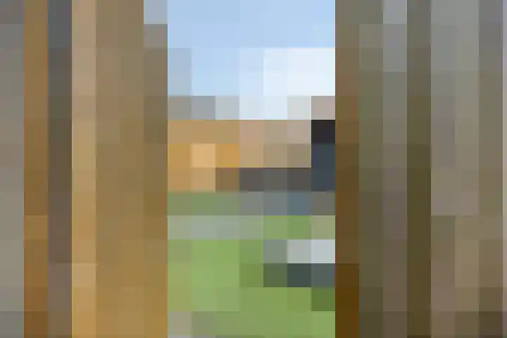 Kuifeend 51 Bedum thumbnail 43