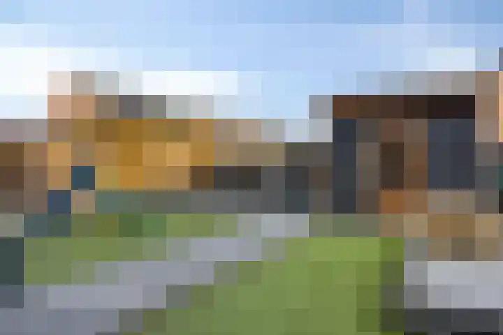 Kuifeend 51 Bedum thumbnail 44