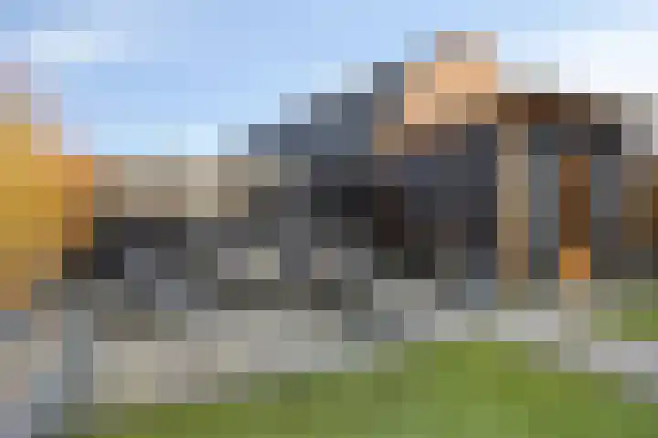Kuifeend 51 Bedum thumbnail 45