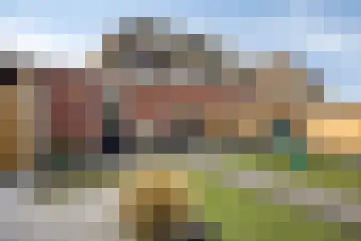 Kuifeend 51 Bedum thumbnail 47