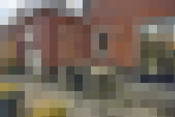 Kuifeend 51 Bedum thumbnail 48