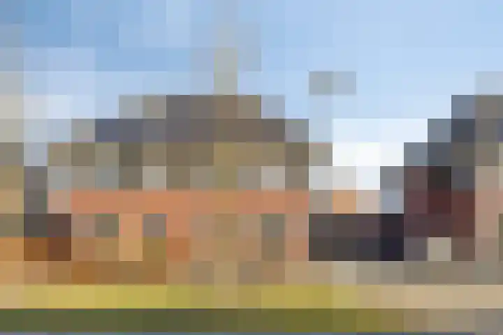 Kuifeend 51 Bedum thumbnail 5