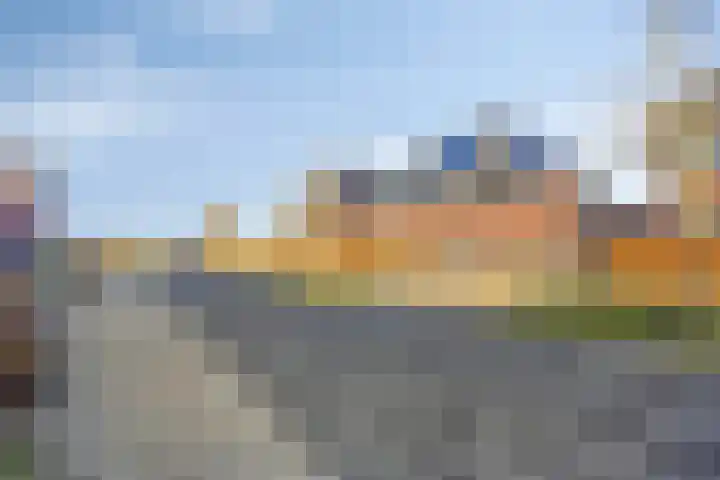 Kuifeend 51 Bedum thumbnail 50