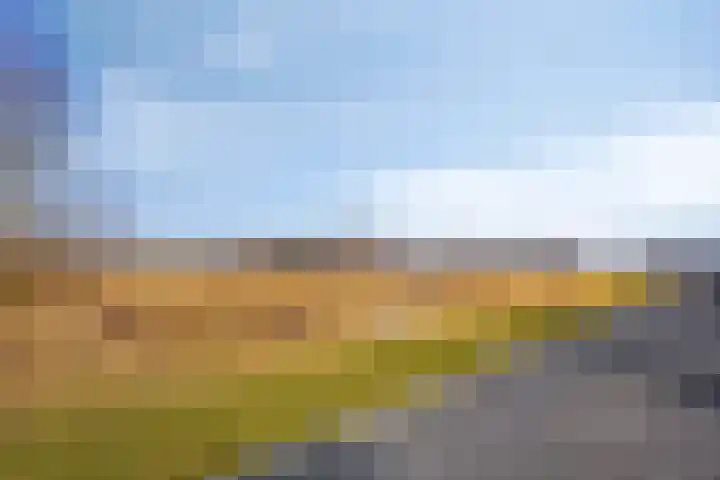 Kuifeend 51 Bedum thumbnail 51