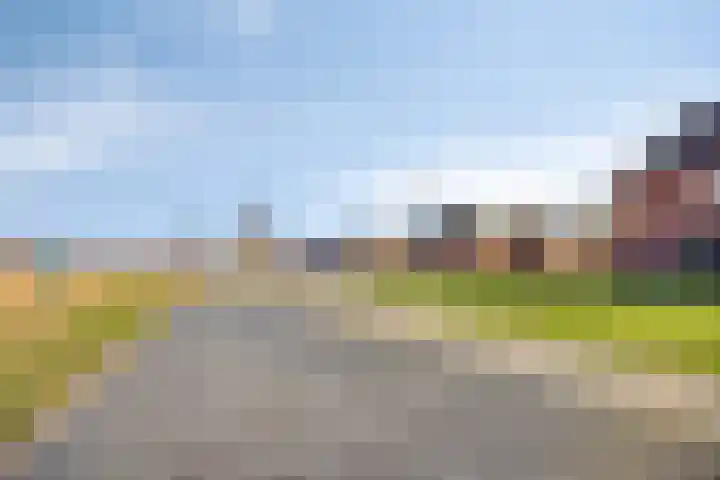 Kuifeend 51 Bedum thumbnail 52