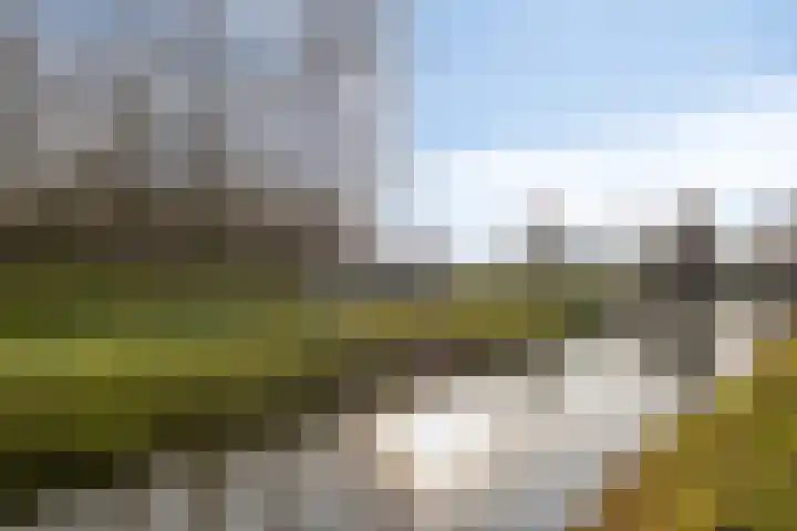 Kuifeend 51 Bedum thumbnail 53