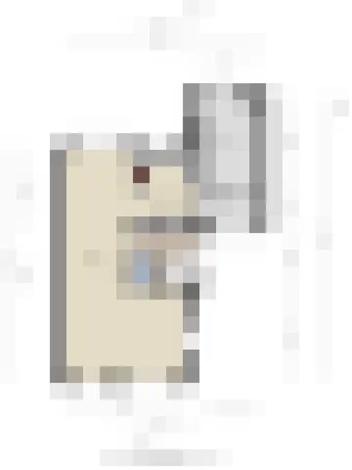 Kuifeend 51 Bedum thumbnail 54