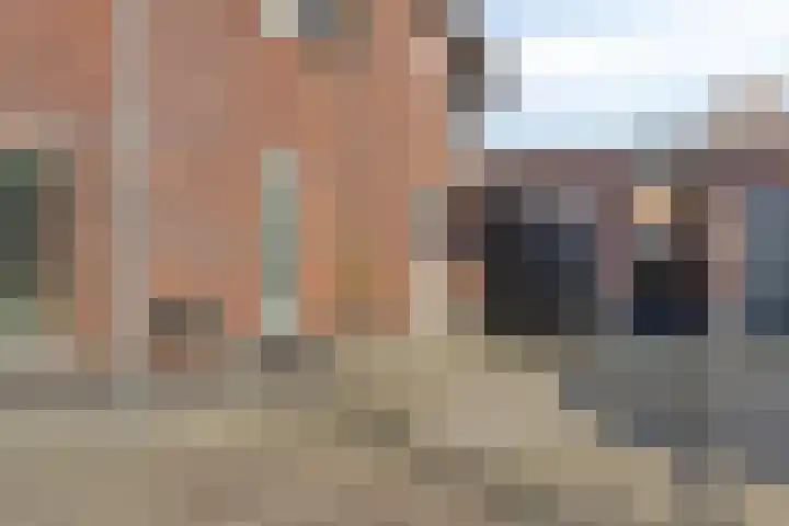 Kuifeend 51 Bedum thumbnail 6