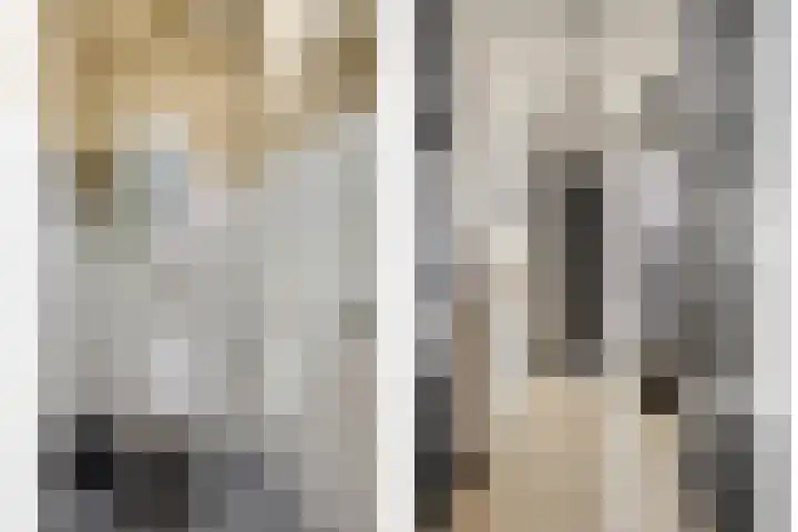 Kuifeend 51 Bedum thumbnail 7