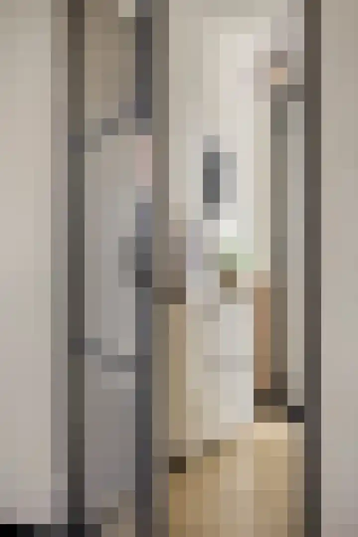 Kuifeend 51 Bedum thumbnail 9