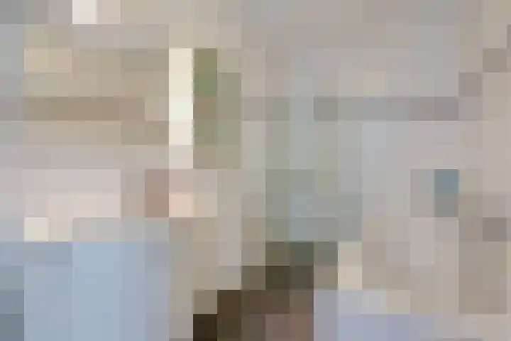 Kuifjestraat 10 Almere thumbnail 17