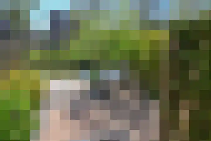Kuifjestraat 10 Almere thumbnail 22