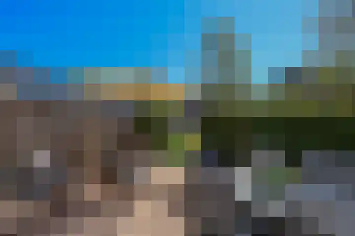 Kuifjestraat 10 Almere thumbnail 24