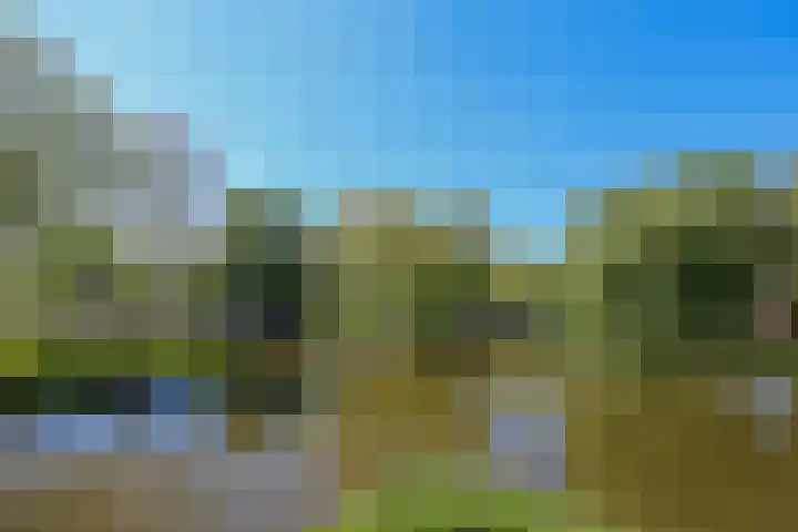 Kuifjestraat 10 Almere thumbnail 32