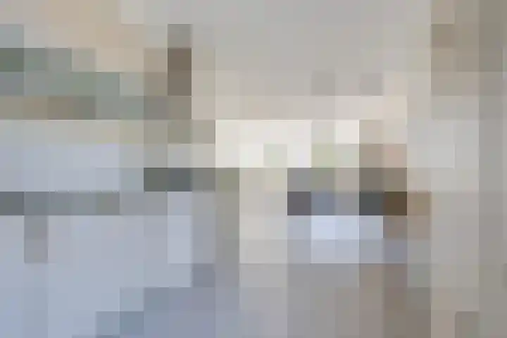 Kuifjestraat 10 Almere thumbnail 8
