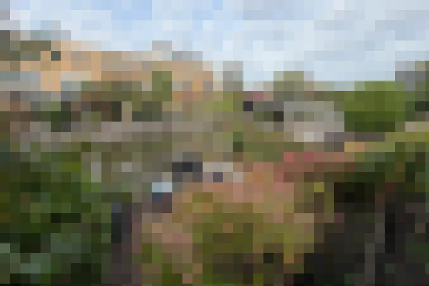 Kuifjestraat 27 Almere thumbnail 8
