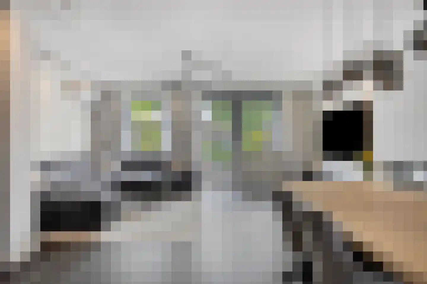 Kuifjestraat 46 Almere thumbnail 8
