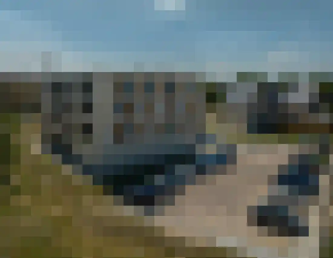 Kuifjestraat 56 Lent thumbnail 13