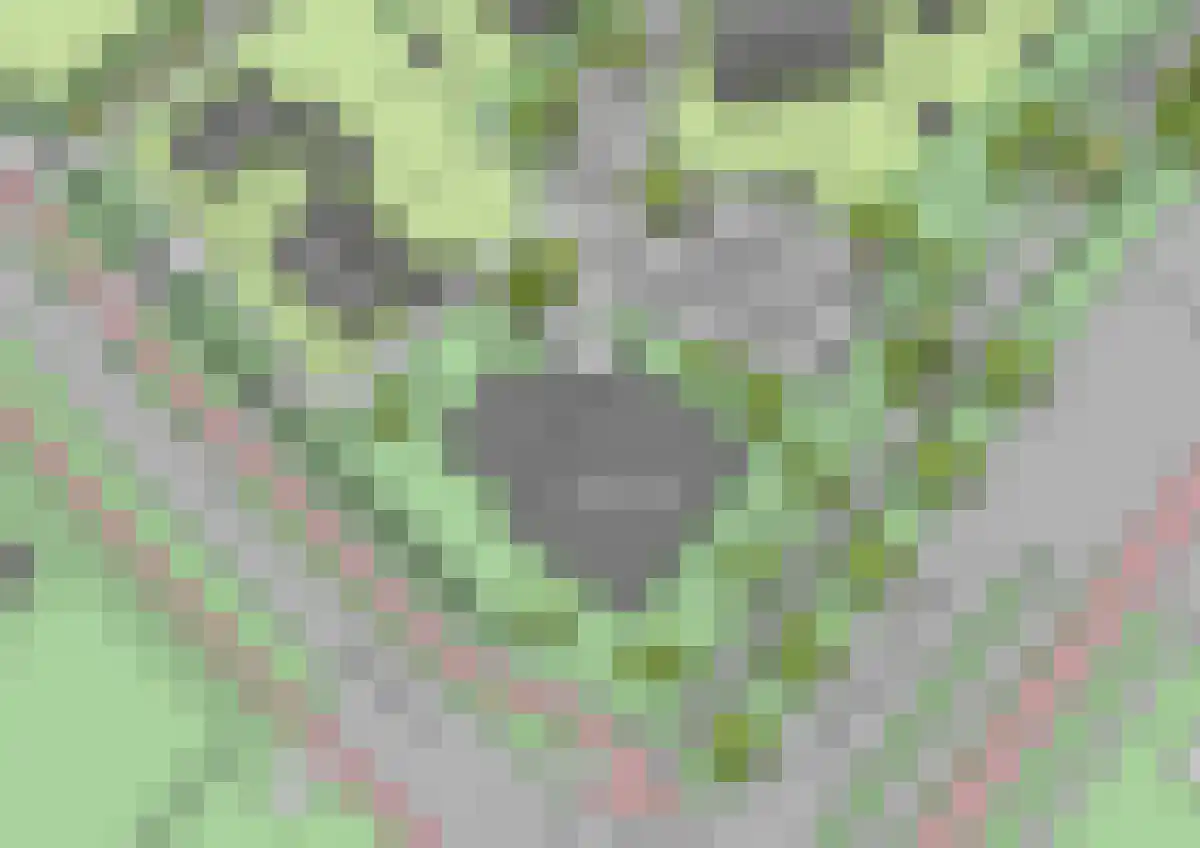 Kuifjestraat 56 Lent thumbnail 6