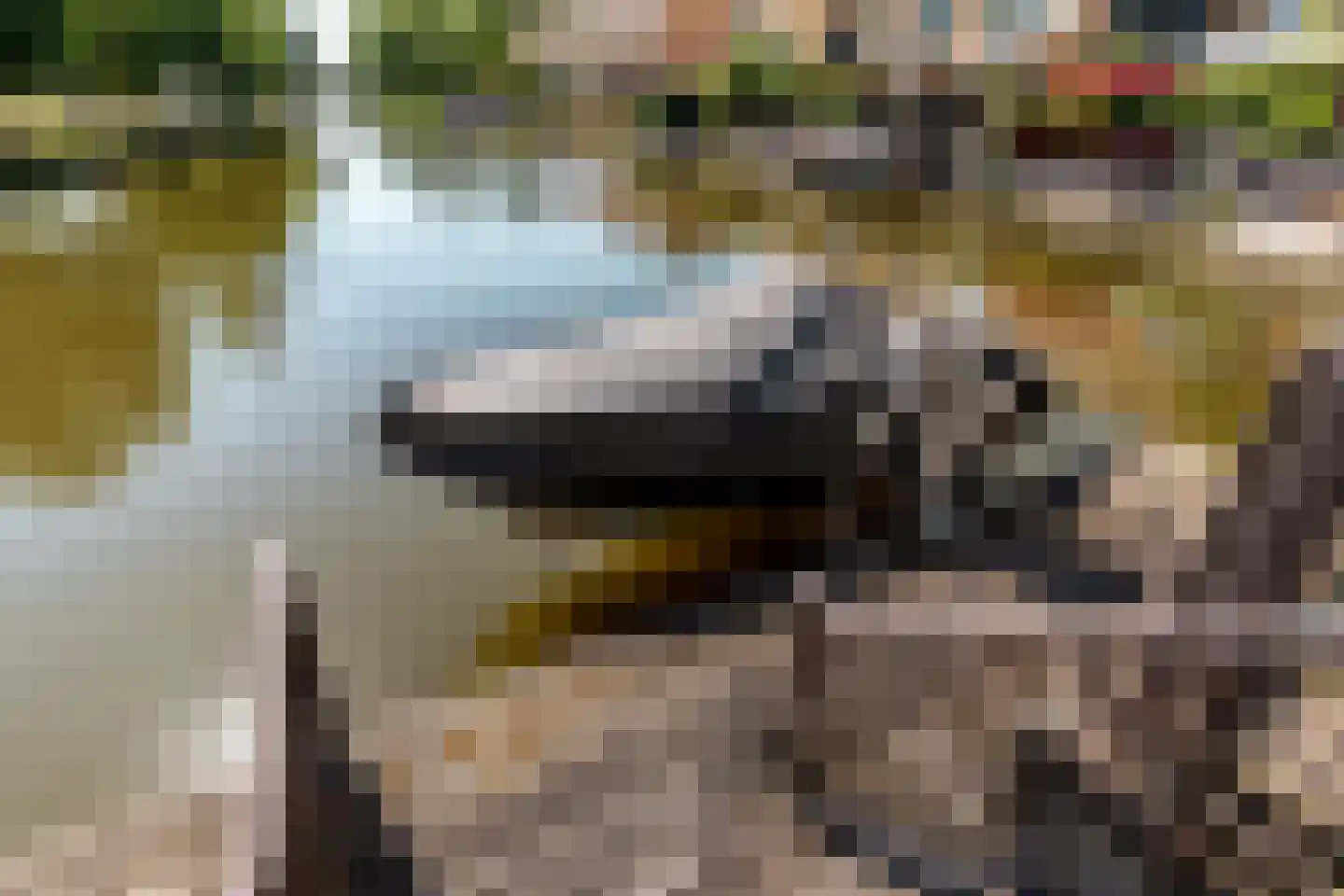 Kuifjestraat 7 Almere thumbnail 36