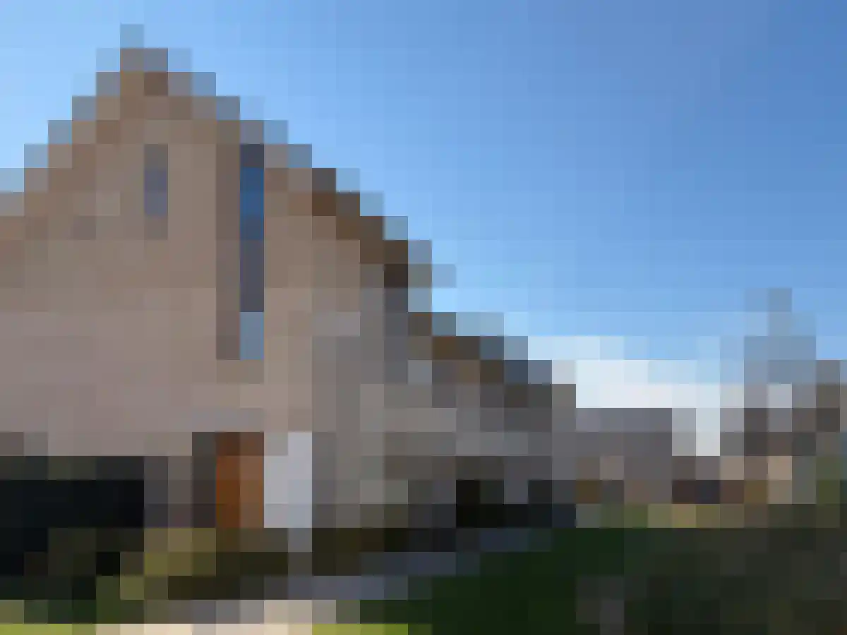 Kuifjestraat 9 Lent thumbnail 4