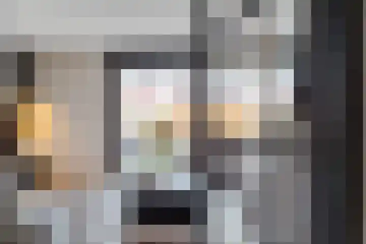 Kuifmees 100 Emmen thumbnail 13