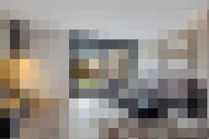 Kuifmees 100 Emmen thumbnail 14
