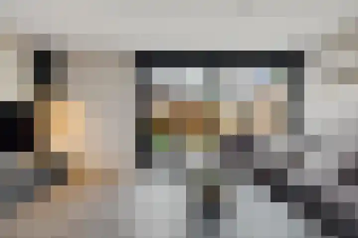 Kuifmees 100 Emmen thumbnail 15