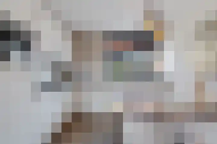 Kuifmees 100 Emmen thumbnail 18