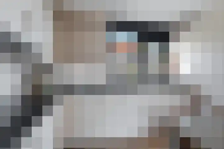Kuifmees 100 Emmen thumbnail 19