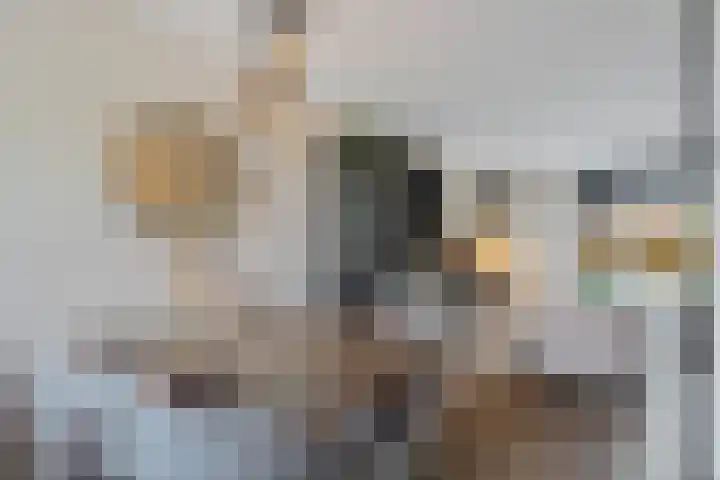 Kuifmees 100 Emmen thumbnail 21