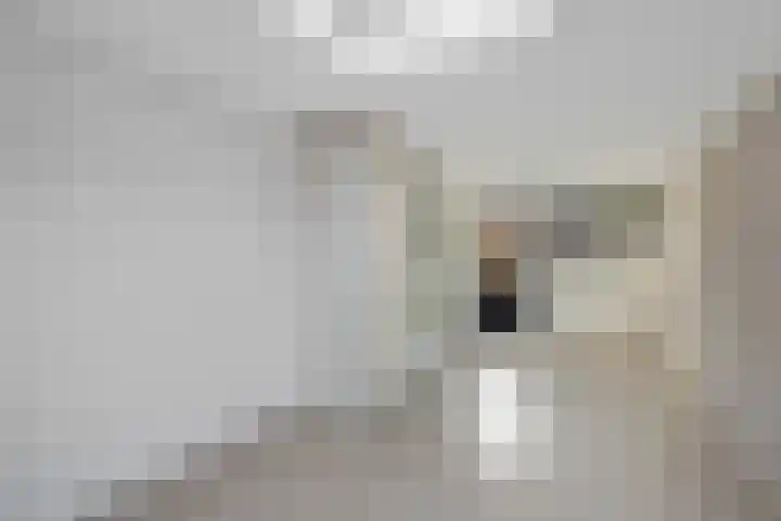 Kuifmees 100 Emmen thumbnail 23