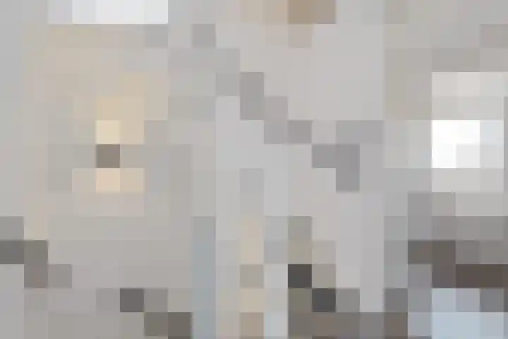 Kuifmees 100 Emmen thumbnail 25