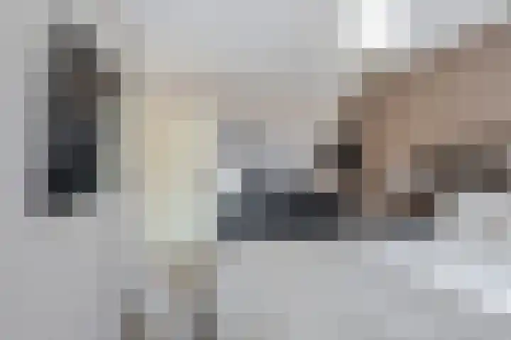 Kuifmees 100 Emmen thumbnail 27