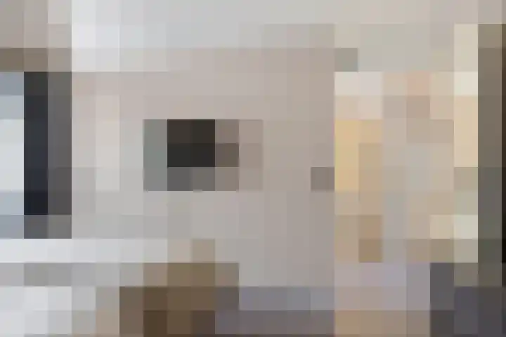 Kuifmees 100 Emmen thumbnail 28