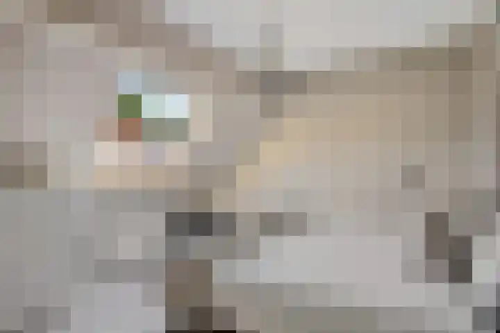 Kuifmees 100 Emmen thumbnail 30