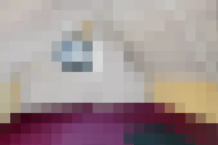Kuifmees 100 Emmen thumbnail 39