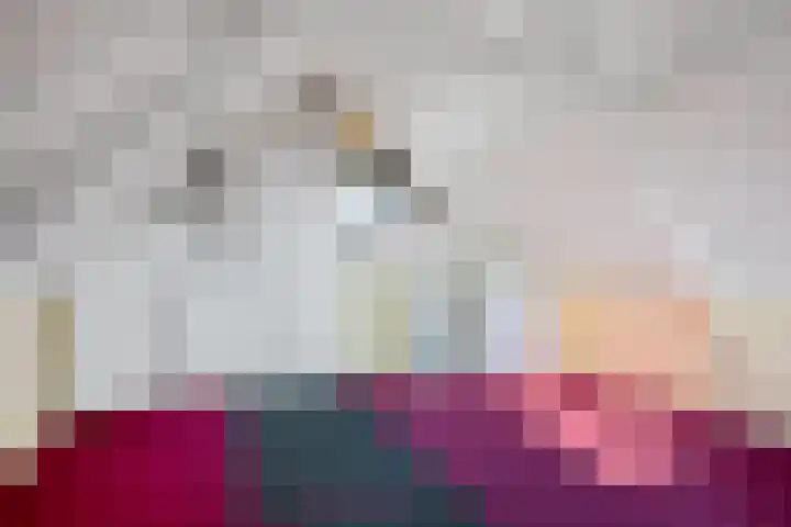 Kuifmees 100 Emmen thumbnail 40