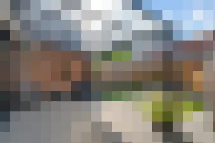 Kuifmees 100 Emmen thumbnail 41