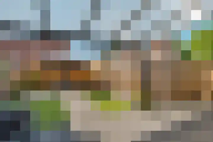 Kuifmees 100 Emmen thumbnail 42