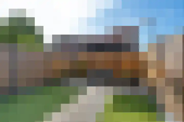 Kuifmees 100 Emmen thumbnail 43