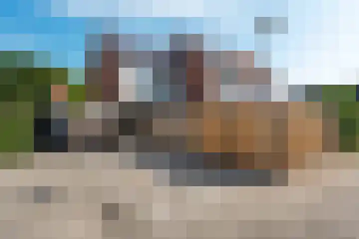 Kuifmees 100 Emmen thumbnail 44