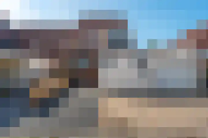 Kuifmees 100 Emmen thumbnail 49