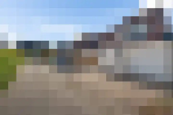 Kuifmees 100 Emmen thumbnail 5