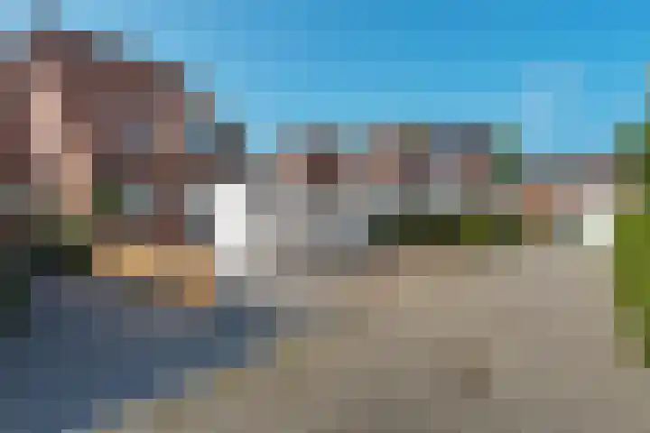 Kuifmees 100 Emmen thumbnail 6
