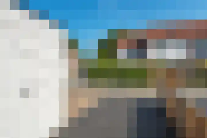 Kuifmees 100 Emmen thumbnail 7