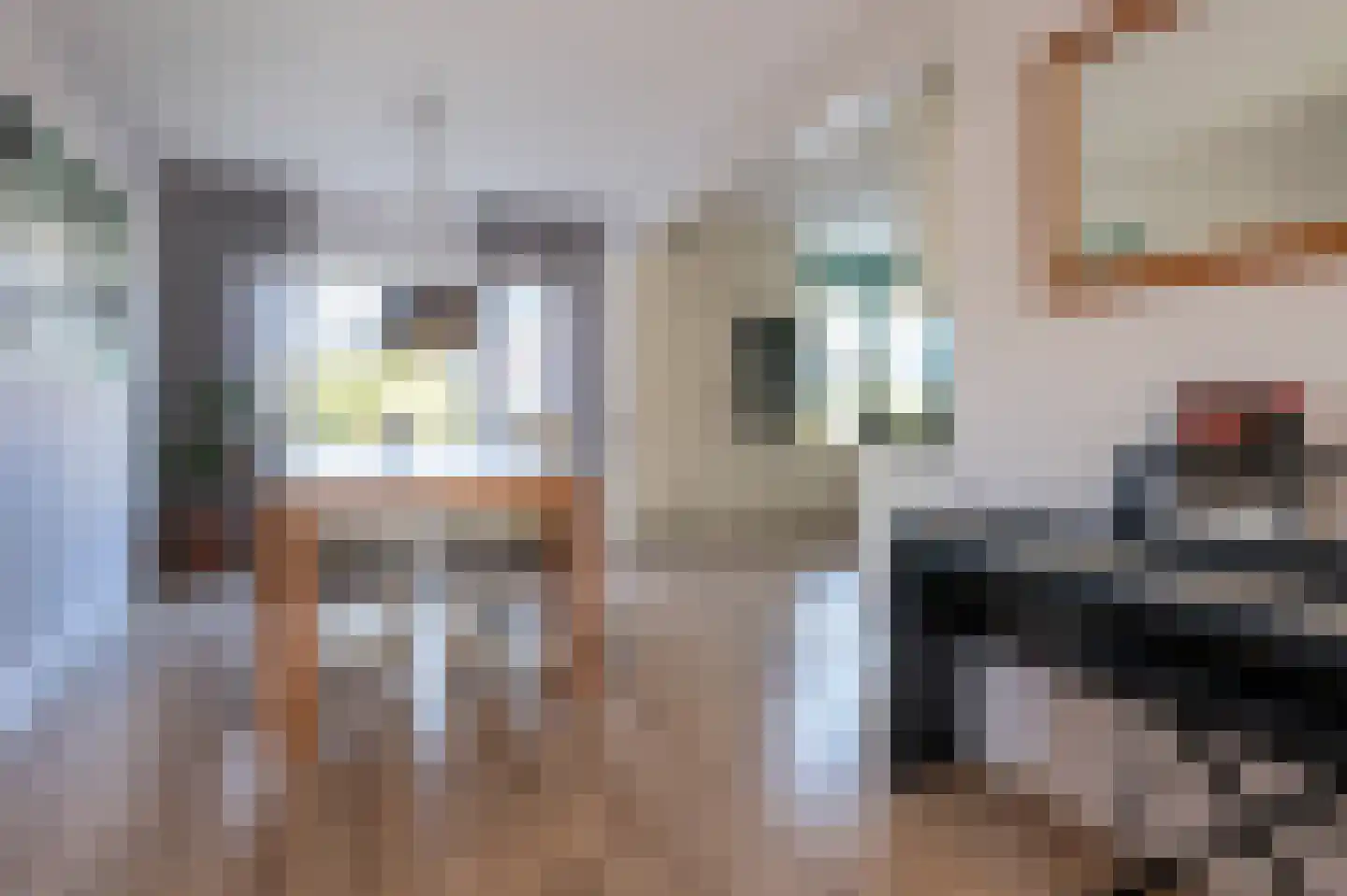 Kuifmees 17 Emmen thumbnail 11