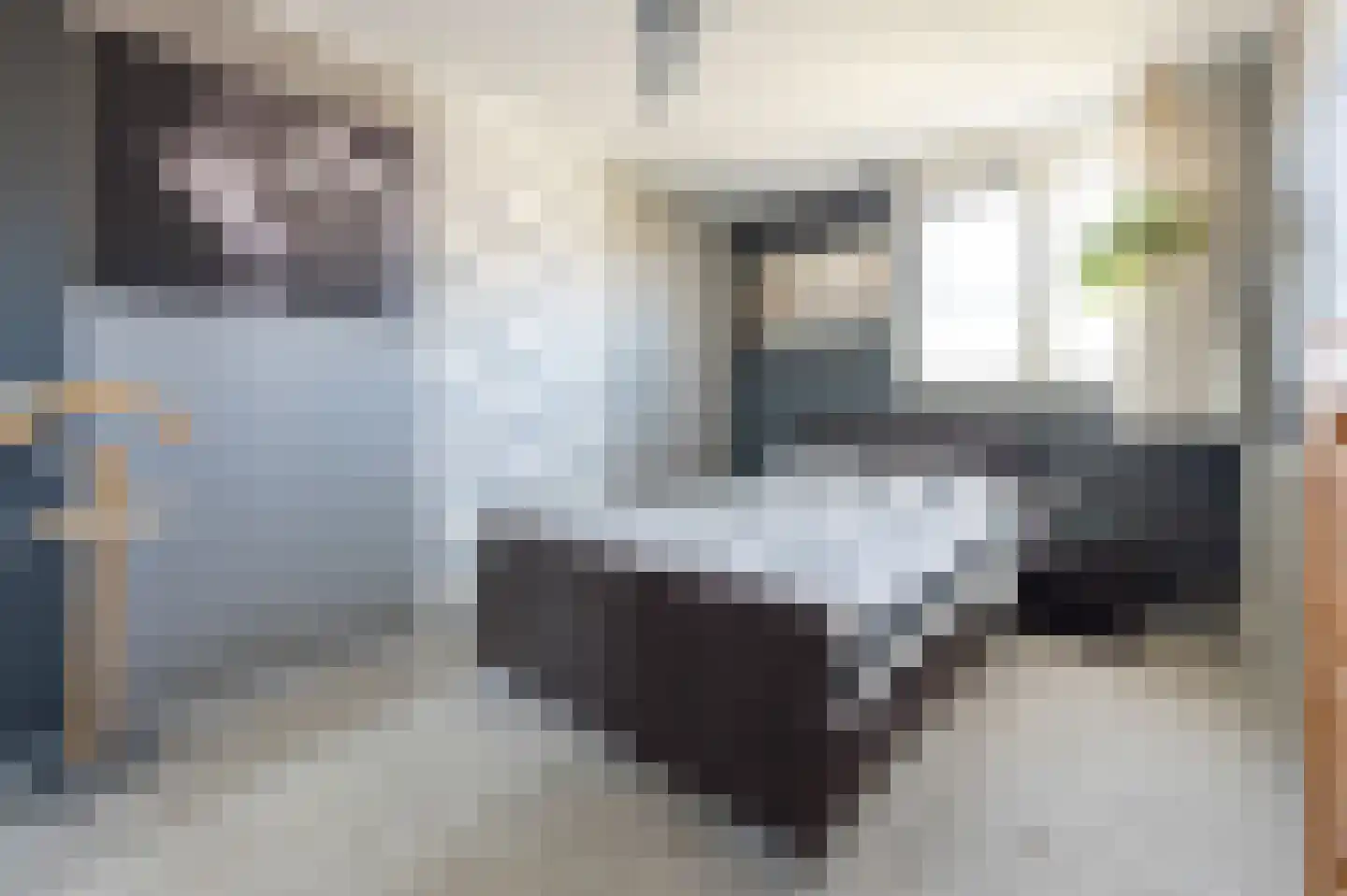 Kuifmees 17 Emmen thumbnail 18